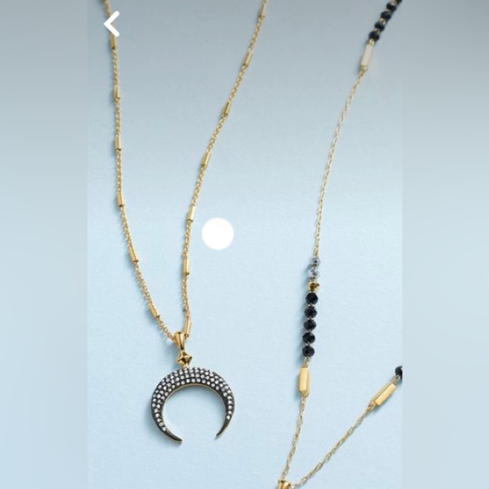 Deidre Double Horn Pendant Reversible Necklace